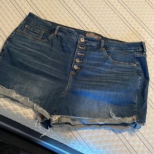 Torrid Shorts